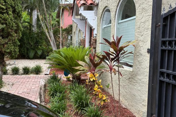 imgi_102_270fe28a-dfe4-4079-be4c-771394deddd4-1759067892525